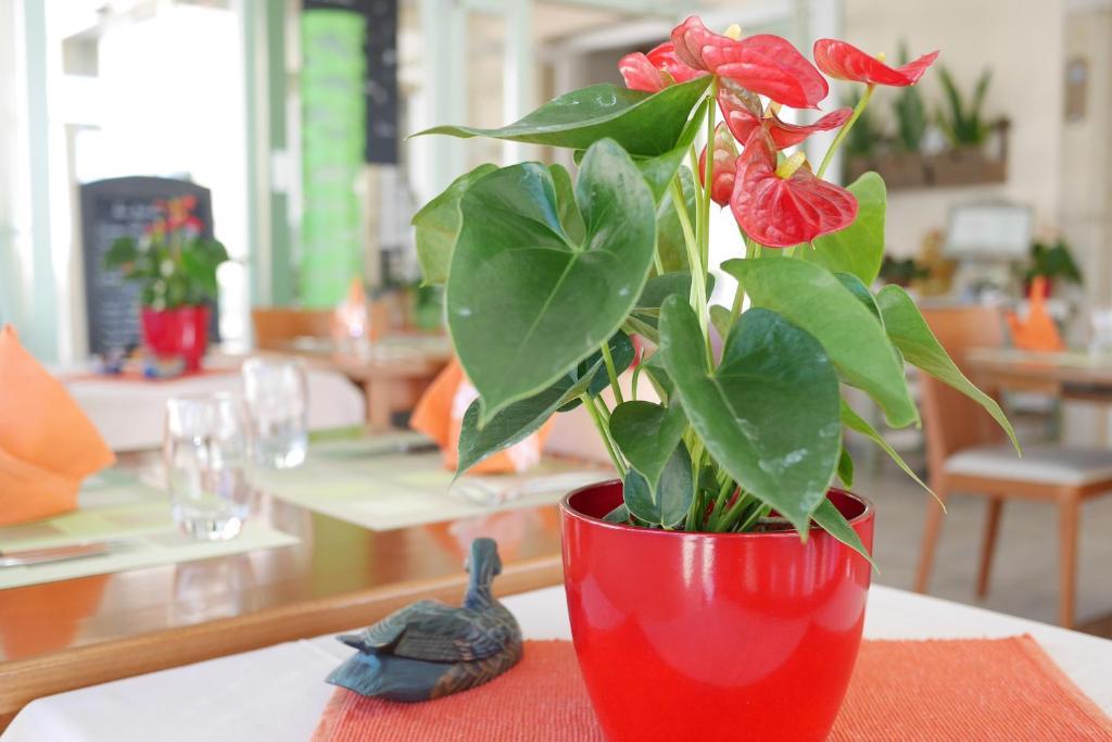 Auberge Aux Deux Sapins Montricher ภายนอก รูปภาพ